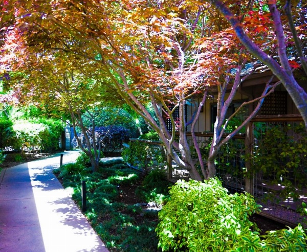 El Pueblo Inn image 73